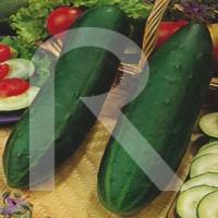 pepino