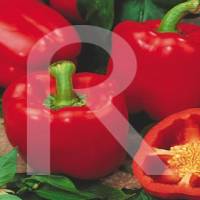 pimiento
