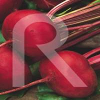 remolacha