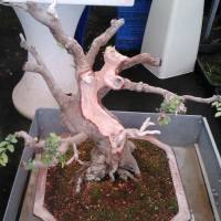 Herramientas japonesas