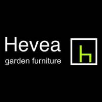 Hevea