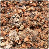 Complementos para Plantas