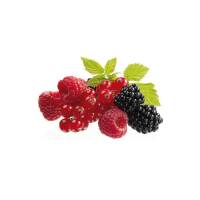 Frutas del bosque