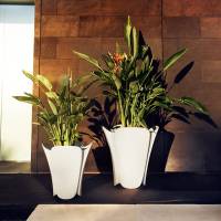 Archirivolto design