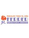 Viveros Francisco Ferrer, S.L.