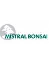 Mistral Bonsái
